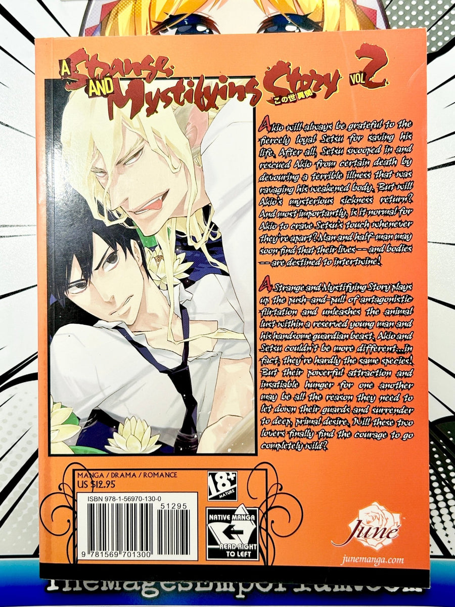 June's A Strange and Mystifying Story Vol 2 Oversized Manga for only