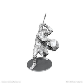 D&D Nolzur's Marvelous Miniatures: B'rohg - Wave 26