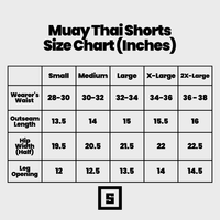 Mystery Muay Thai Shorts