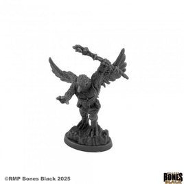 Bones Black: Raptorkin Wizard