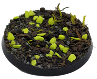 Base X Terrain | Basecover | Toxic Desert