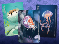 Similo: Aquatic Animals