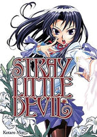 Stray Little Devil Vol 2 Manga - The Mage's Emporium Dr. Master Used English Manga Japanese Style Comic Book