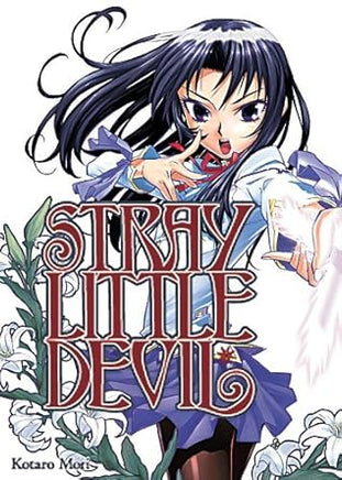 Stray Little Devil Vol 2 Manga - The Mage's Emporium Dr. Master Used English Manga Japanese Style Comic Book