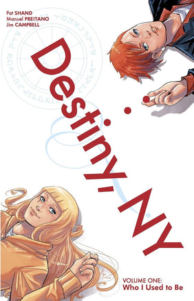Destiny Ny Vol 01 Preitano Sp Ed  Manga - The Mage's Emporium Black Mask Used English Manga Japanese Style Comic Book