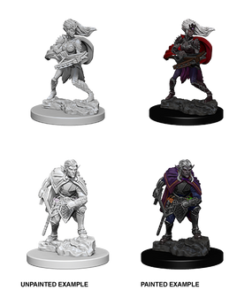 D&D: Nolzur's Marvelous Miniatures - Drow