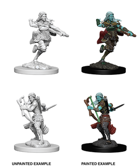 D&D: Nolzur's Marvelous Miniatures - Air Gensai Female Rogue
