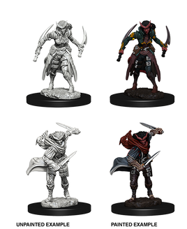 D&D: Nolzur's Marvelous Miniatures - Tiefling Female Rogue