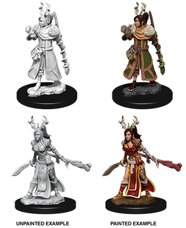 D&D: Nolzur's Marvelous Miniatures - Human Female Druid