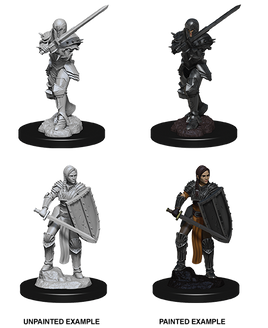D&D: Nolzur's Marvelous Miniatures - Human Female Fighter