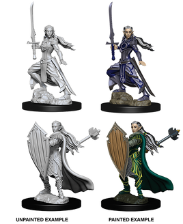 D&D: Nolzur's Marvelous Miniatures - Elf Female Paladin