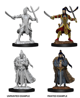D&D: Nolzur's Marvelous Miniatures - Elf Male Paladin