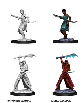 D&D: Nolzur's Marvelous Miniatures - Human Female Rogue