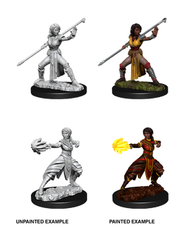 D&D: Nolzur's Marvelous Miniatures - Half-Elf Female Monk