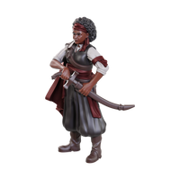 D&D: Nolzur's Marvelous Miniatures - Ansalon Human Rogue