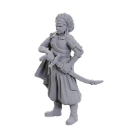 D&D: Nolzur's Marvelous Miniatures - Ansalon Human Rogue