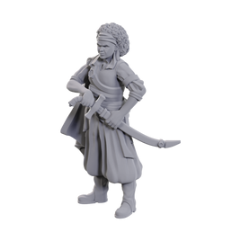 D&D: Nolzur's Marvelous Miniatures - Ansalon Human Rogue