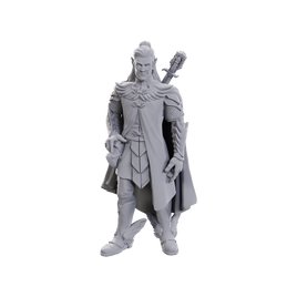 D&D: Critical Role Miniatures - Dorian Storm