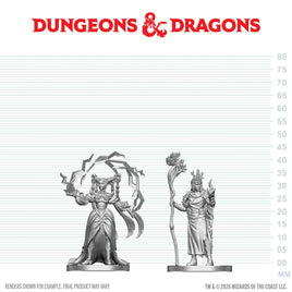 D&D: Nolzur's Marvelous Unpainted Miniatures - Human Druid & Elf Sorcerer