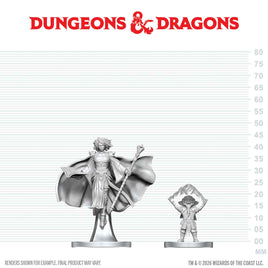 D&D: Nolzur's Marvelous Unpainted Miniatures - Gnome Warlock & Aasimar Wizard
