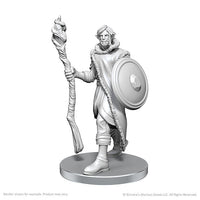 Critical Role Miniatures: Mollymauk Tealeaf & Caduceus Clay - Wave 26