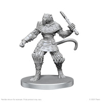 Pathfinder: Deep Cuts - Elf Hunter & Catfolk Bandit