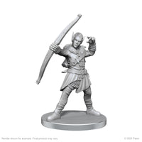 Pathfinder: Deep Cuts - Elf Hunter & Catfolk Bandit