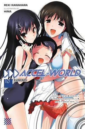 Accel World Light Novel Vol 10 light novel cover