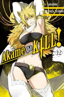 Akame ga Kill! Vol 12 manga cover