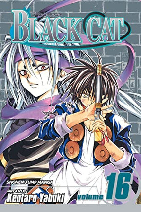 Black Cat Vol 16 cover
