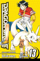 Dragon Drive Vol 13