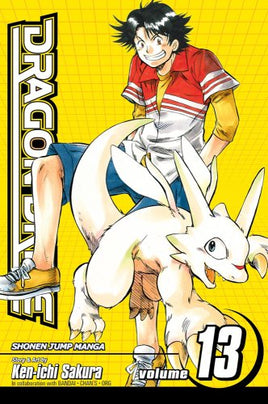 Dragon Drive Vol 13 manga cover
