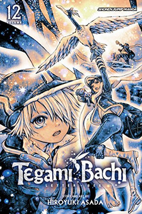 Tegami Bachi Vol 12 - BRAND NEW CONDITION Manga - The Mage's Emporium Viz Media Used English Manga Japanese Style Comic Book