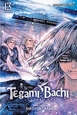 Tegami Bachi Vol 13 - BRAND NEW CONDITION Manga - The Mage's Emporium Viz Media Used English Manga Japanese Style Comic Book