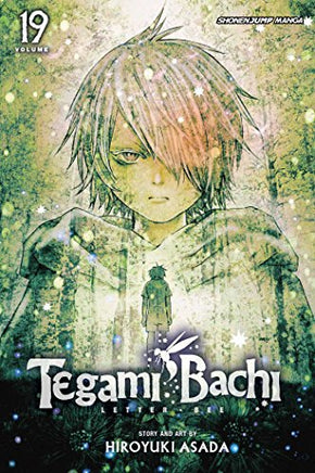 Tegami Bachi Vol 19 - BRAND NEW CONDITION Manga - The Mage's Emporium Viz Media Used English Manga Japanese Style Comic Book