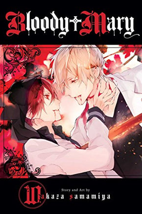 Bloody Mary Vol 10 Manga - The Mage's Emporium Viz Media Used English Manga Japanese Style Comic Book