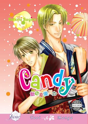 Candy Manga - The Mage's Emporium June Used English Manga Japanese Style Comic Book