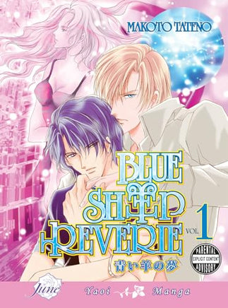 Blue Ship Reverie Vol 1 Manga - The Mage's Emporium June Used English Manga Japanese Style Comic Book
