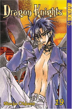 Dragon Knights Vol 19 Manga cover
