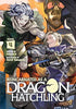 Reincarnated as a Dragon Hatchling Vol 4 Light Novel Light Novel - The Mage's Emporium Seven Seas Used English Light Novel Japanese Style Comic Book