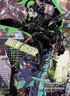 Bakemonogatari Vol 12