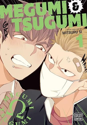 Megumi & Tsugumi Vol 1 manga cover
