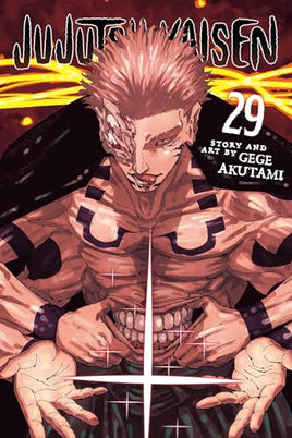 Jujutsu Kaisen Vol 29 cover