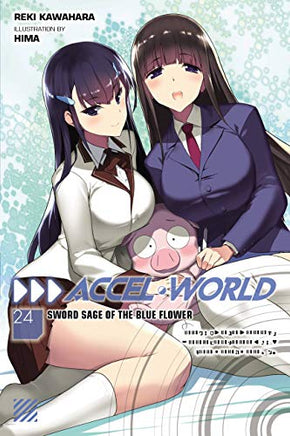 Accel World Light Novel Vol 24 light novel cover