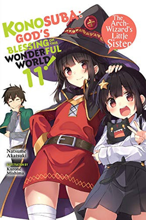 Konosuba Light Novel Vol 11 - BRAND NEW CONDITION Light Novel - The Mage's Emporium Yen Press Used English Light Novel Japanese Style Comic Book