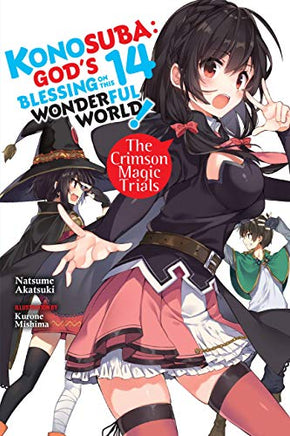 Konosuba Light Novel Vol 14 - BRAND NEW CONDITION Light Novel - The Mage's Emporium Yen Press Used English Light Novel Japanese Style Comic Book