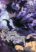 Solo Leveling Vol 14 Full Color