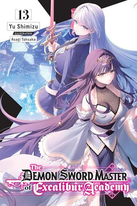 The Demon Sword Master Excalibur Academy Novel Vol 13 light novel cover