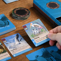Nature: Module 1 - Flight