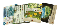 Forest Shuffle: Exploration